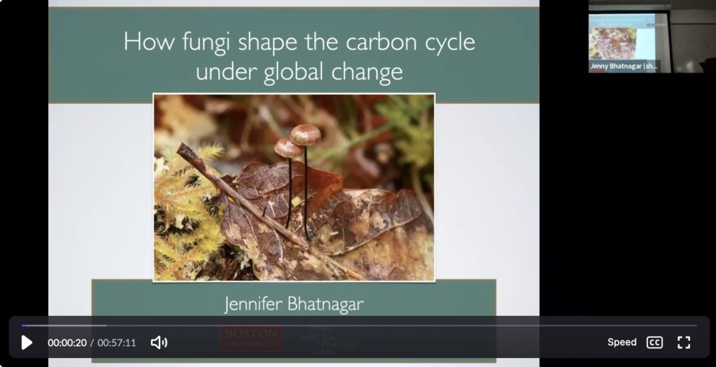 Jennifer Bhatnagar / How Fungi Shape the Carbon Cycle Under Global Change