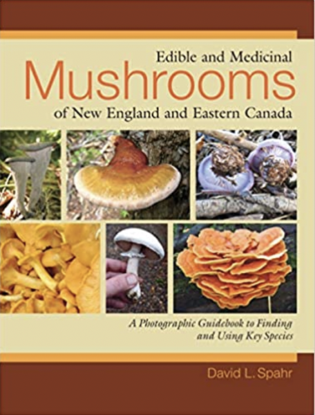 Edible and Medicinal Mushrooms of New England and Eastern Canada by David Spahr