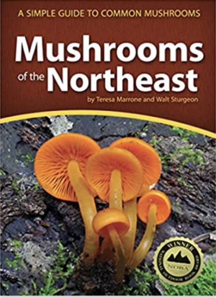 Mushrooms of the Northeast by Teresa Marrone and Walt Sturgeon