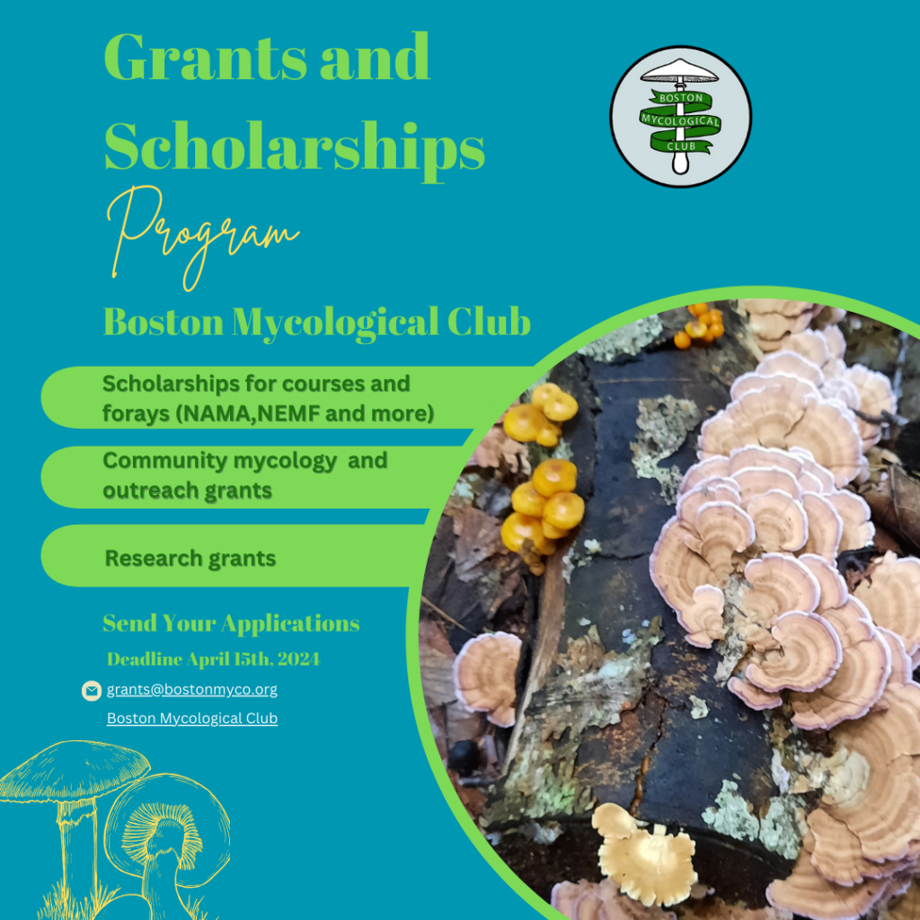 BMC Grants and Scholarships Program