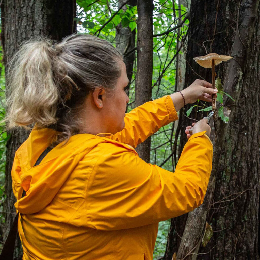 Jana collecting a mushroom