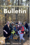 Bullentin-spring-2025