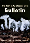 Summer 2026 BMC Bulletin-thumbnail